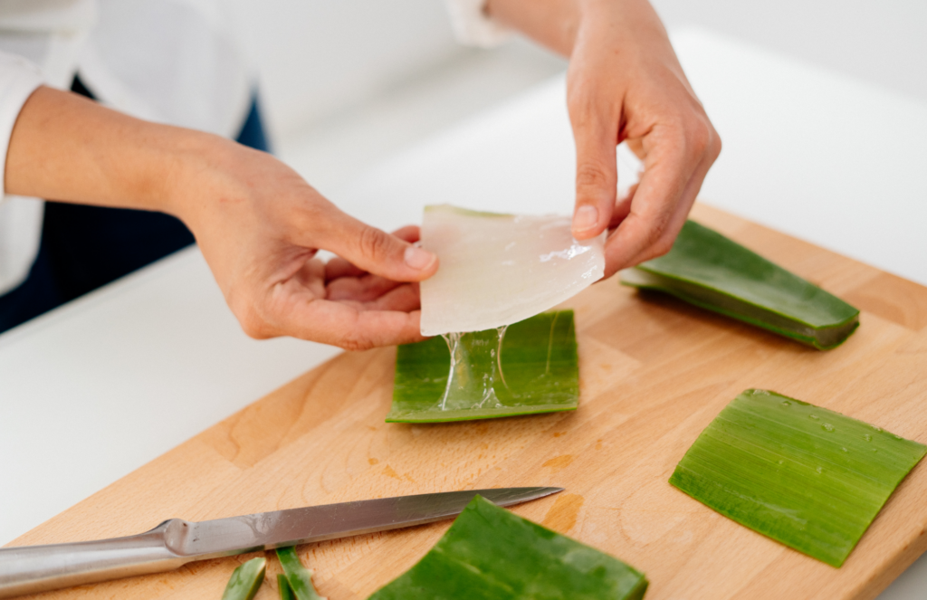 ¿Sabías que el jugo puro de Aloe Vera es beneficioso para la salud digestiva?