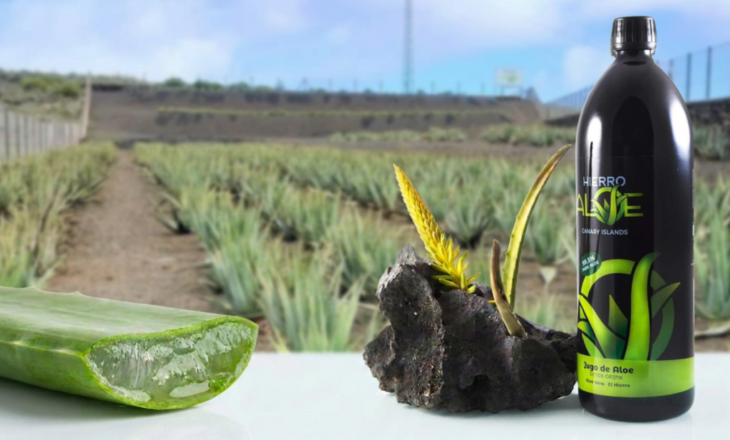 Aloe Vera un antiinflamatorio natural que no debes ignorar